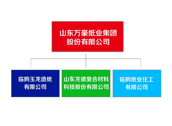 山东开云线上平台（集团）官方网站
纸业集团.jpg